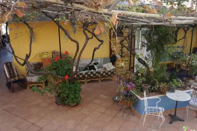 Jardín al aire libre en Finca Cortez Apartment 2