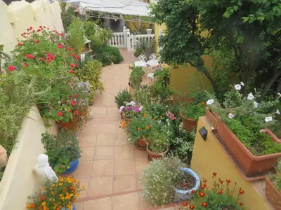Jardín al aire libre en Finca Cortez Apartment 2