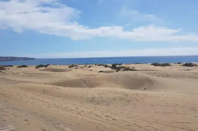 Paisaje cerca de este apartamento
