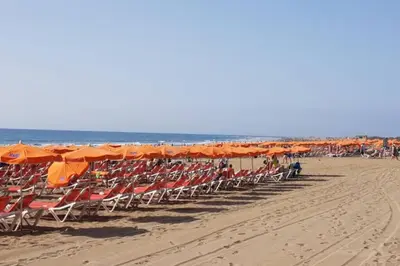 Playa de o cerca de este apartamento