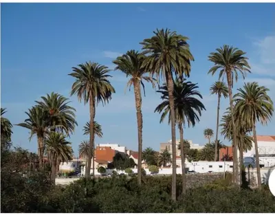 Paisaje cerca de este apartamento