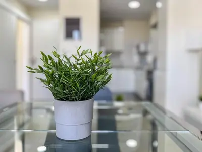 Una cocina o zona de cocina en GuestReady - Nuevos Livian Suites Las Palmas