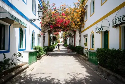 El barrio de los alrededores o un barrio cerca de este apartamento