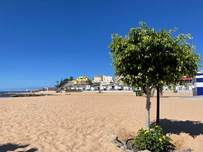 Paisaje cerca de este apartamento
