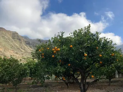 Paisaje cerca de este apartamento