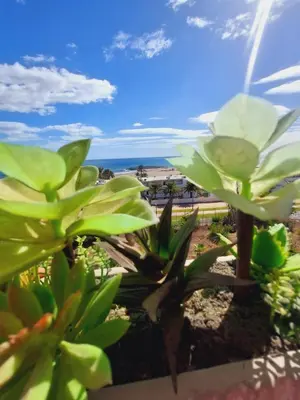 Paisaje cerca de este apartamento
