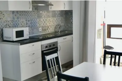 Una cocina o zona de cocina en Nueva Europa apartamentos