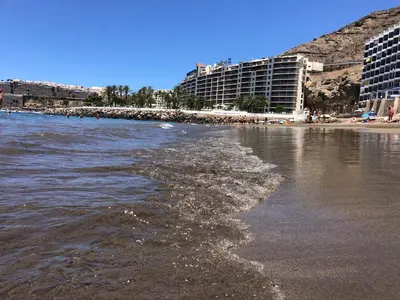Paisaje cerca de este apartamento
