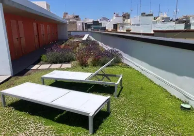 Plano de ZEN GARDEN