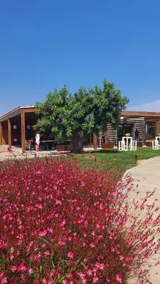 Jardín al aire libre en Finca La Suerte Grande
