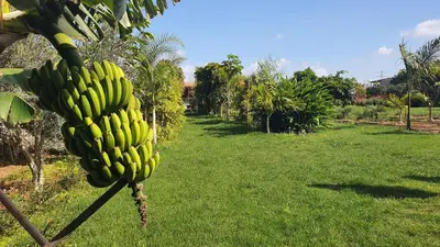 Jardín al aire libre en Finca La Suerte Grande