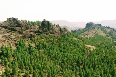 Paisaje cerca de este apartamento