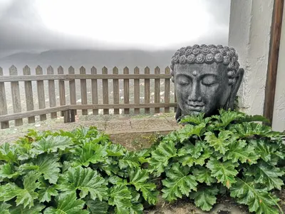 Jardín al aire libre en La Cueva Refugio