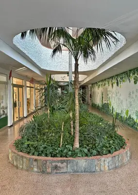 Jardín al aire libre en Cosy Garden View Apartment Tinache