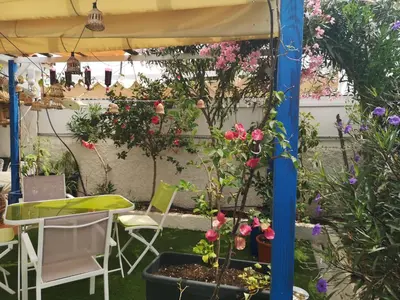 Jardín al aire libre en Yumbo room