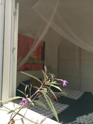 Jardín al aire libre en Yumbo room
