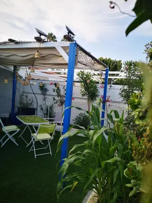 Jardín al aire libre en Yumbo room
