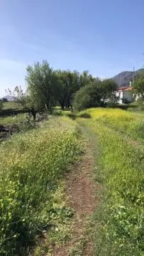 Paisaje cerca de esta casa o chalet