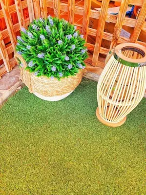 Jardín al aire libre en The perfect place to relax Bedroom with hot tub, beautiful tropical garden area. Bbq and big open spaces through all the house.It is located in a quiet place, but still 5 min away from the touristic Puerto Rico and walking distance from the beach