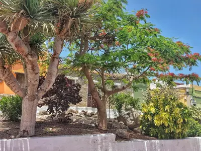 Jardín al aire libre en Casa en La Ladera - Real vibe - Beach & Mountain