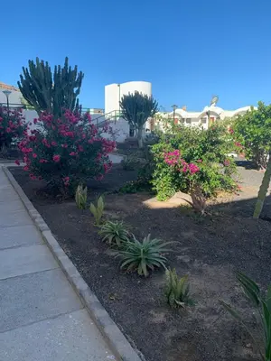 Jardín al aire libre en Appartamento confortevole con piscina 7