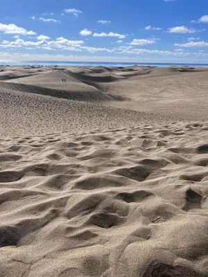 Paisaje cerca de este apartamento