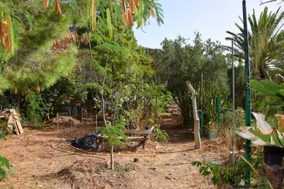 Jardín al aire libre en La Casa de los Pinos Temisas