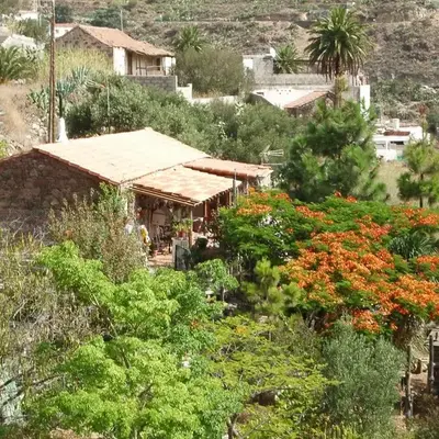 La Casa de los Pinos Temisas