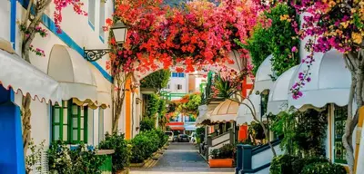 El barrio de los alrededores o un barrio cerca de este apartamento