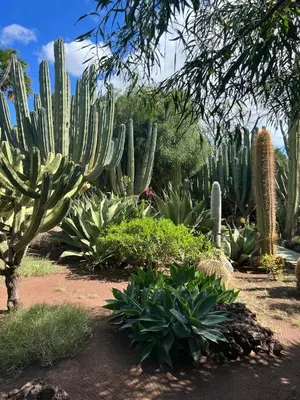 Jardín al aire libre en Playa del Ingles Vitamine D garantie