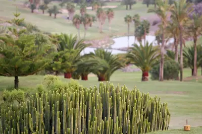 Paisaje cerca de esta villa