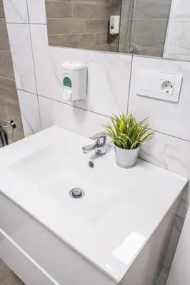 Un baño de Paquesito Home