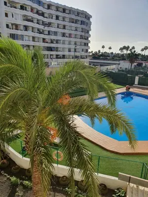 Piscina en o cerca de Playa del Ingles Estudio LOS MOLINOS 205
