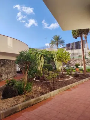Jardín al aire libre en Guinea Nidive apartment