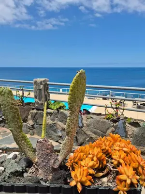 Paisaje cerca de este apartamento