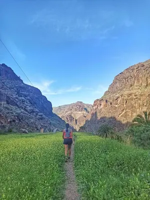 Paisaje cerca de este apartamento