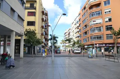 El barrio de los alrededores o un barrio cerca de este apartamento