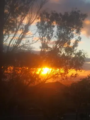 Amanecer o atardecer desde el camping o alrededores