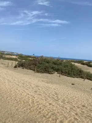 Paisaje cerca de este apartahotel