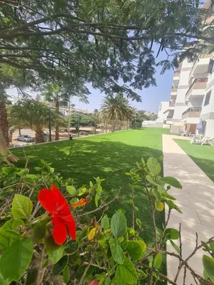 Jardín al aire libre en Endless Summer