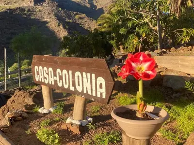 Paisaje cerca de este apartamento