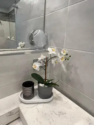 Un baño de First Beachline Deluxe with Garden and Terrasse in Sun Club