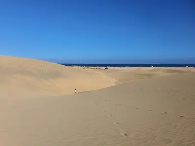 Paisaje cerca de este apartamento