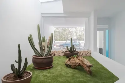 Jardín al aire libre en Las Afortunadas - Playa Arinaga 1ºC