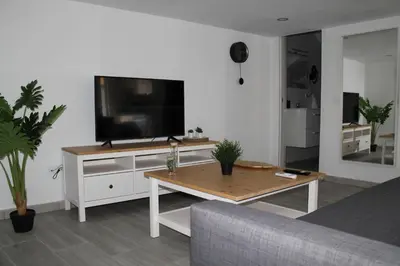 Una televisión o centro de entretenimiento en Apartamentos los Nidillos
