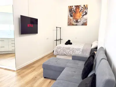 Una televisión o centro de entretenimiento en Loft Deluxe Aeropuerto