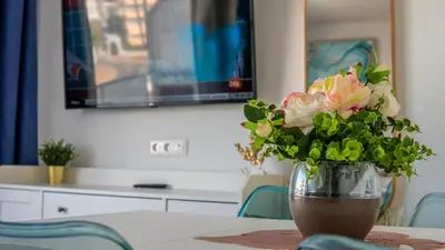 Una televisión o centro de entretenimiento en Europa 400