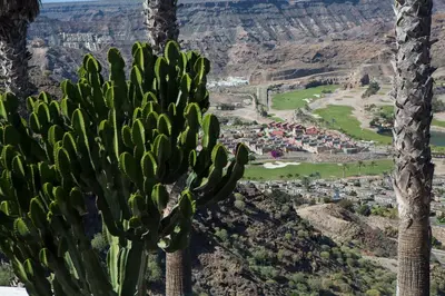Paisaje cerca de este apartamento