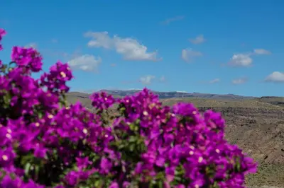 Paisaje cerca de este apartamento