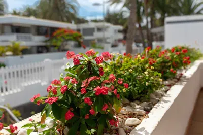 Jardín al aire libre en Apartamento Maypa 2 Salitre